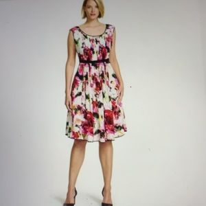 Adrianna Papell Floral Midi Dress - Pink and Red
